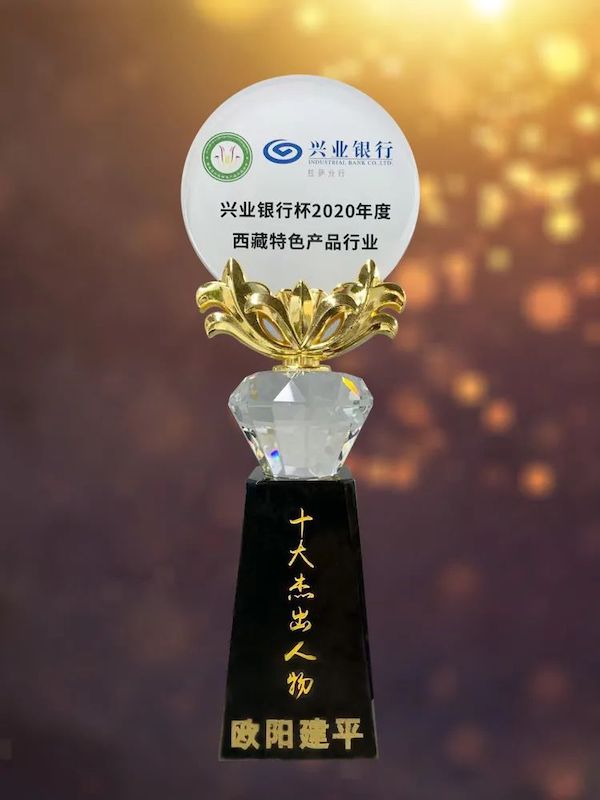 天阳科技总裁欧阳建平荣膺西藏特色产品行业“十大杰出人物”（配图 1）